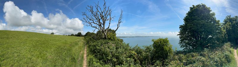 Panoramic photo of some pasture land on the left with the trail straight ahead and the cliff leading off to the water to the right