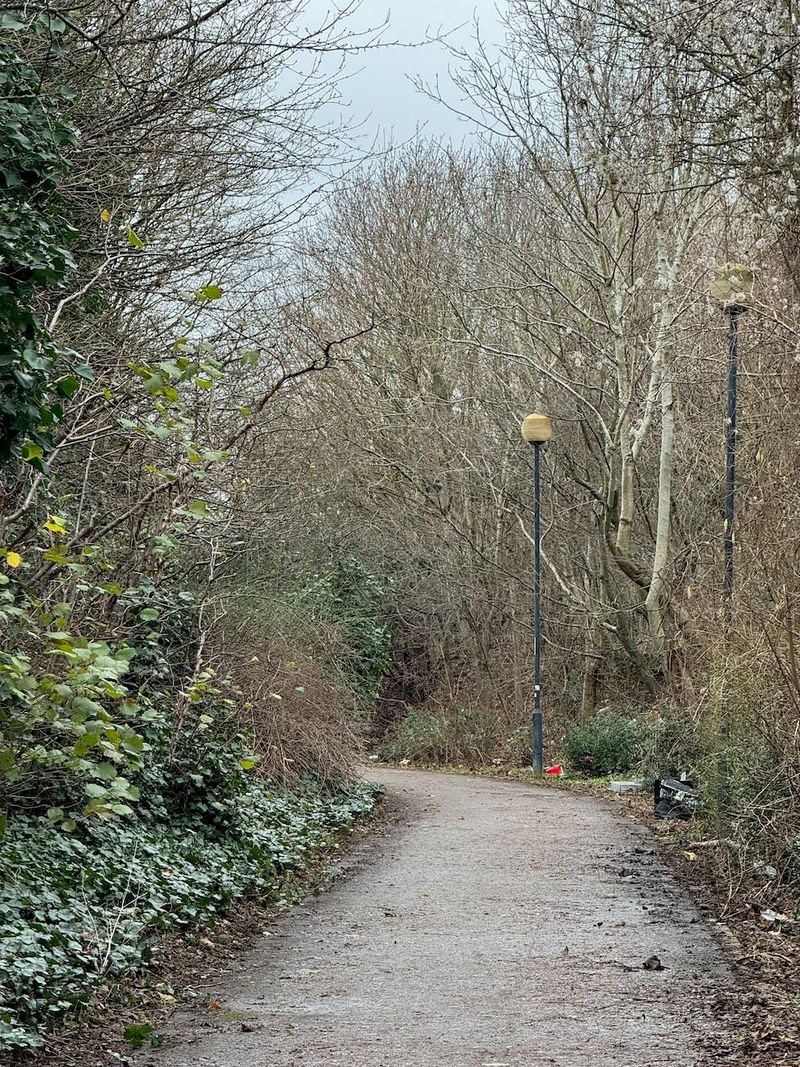 Wooded path leading off into the distance with lamp posts lining the right edge