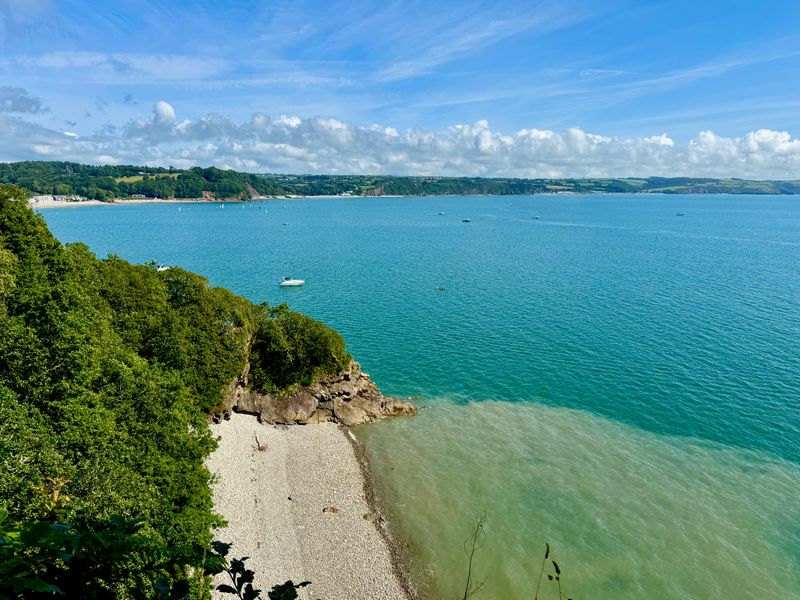 Looking through the trees to the water below showing the coast and beach on the left