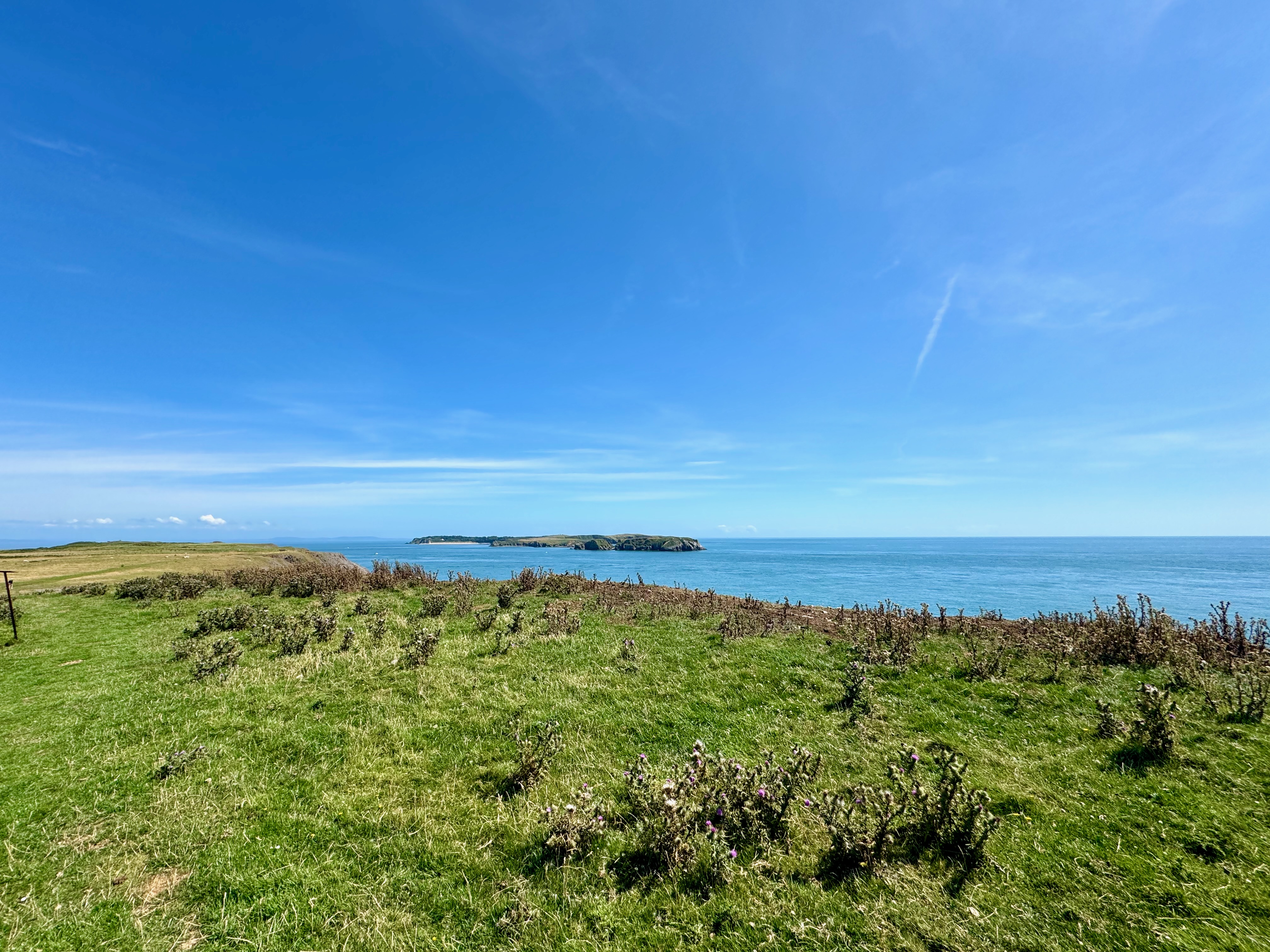 Looking across a pasture with the sea on the right. Off in the distance an island is visible