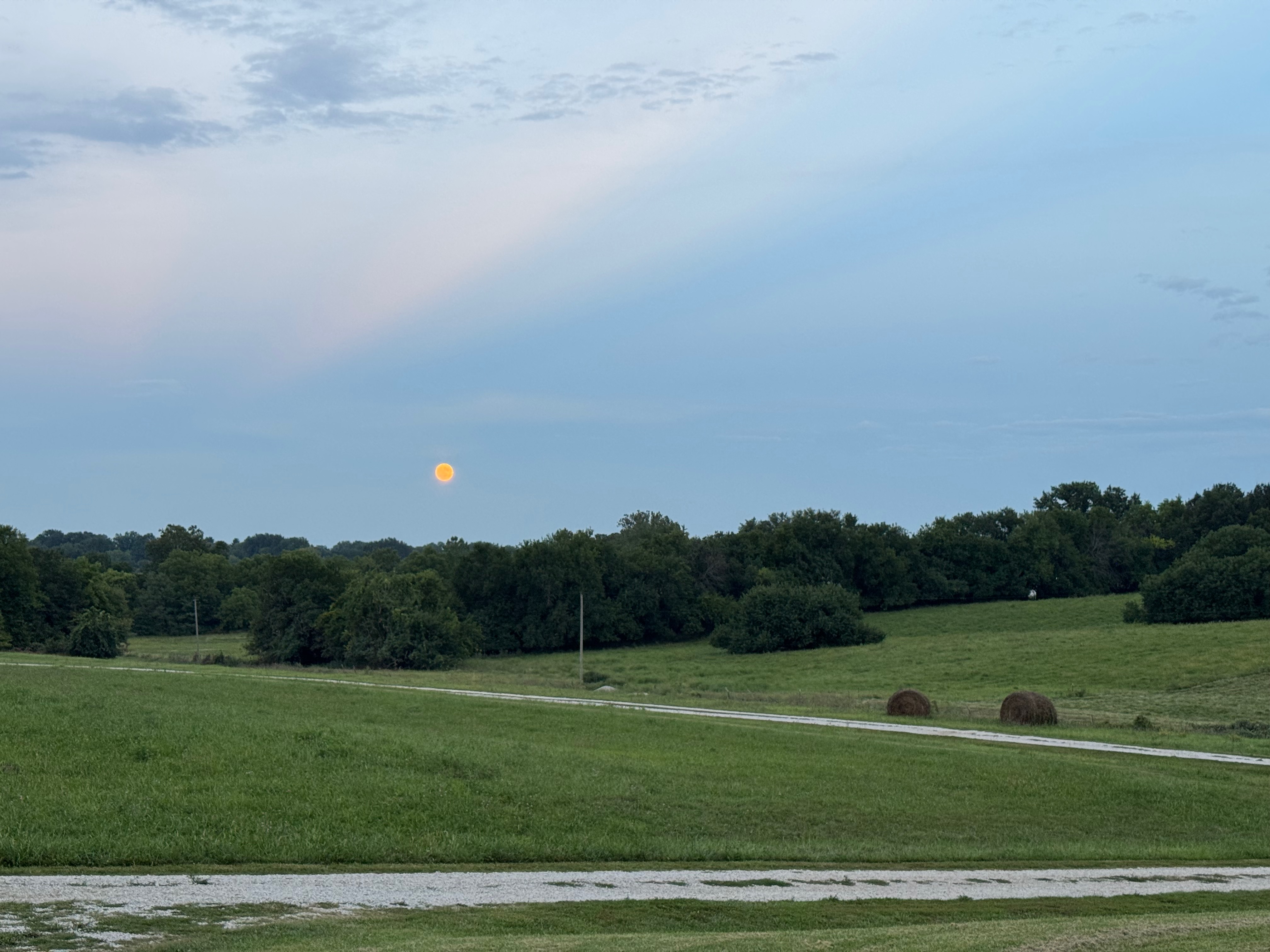 Looking across the field to the moon rising over the trees in the distance