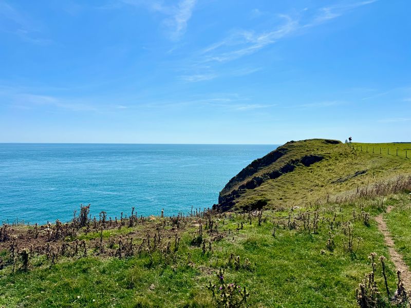 Looking across a pasture with the sea on the left.