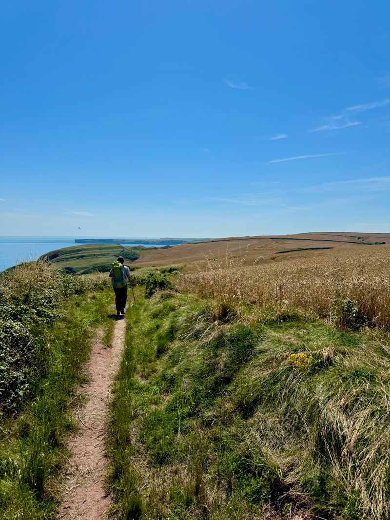 The trail following along the edge of a wheat field with the hills rolling off into the distance