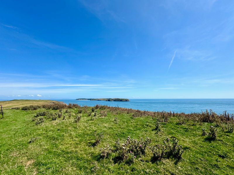 Looking across a pasture with the sea on the right. Off in the distance an island is visible